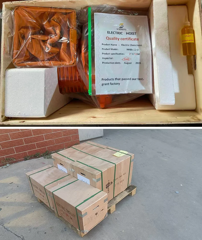2T Chain Electric Hoists